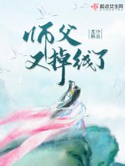 师父又掉线了