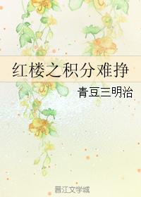 红楼之积分难挣